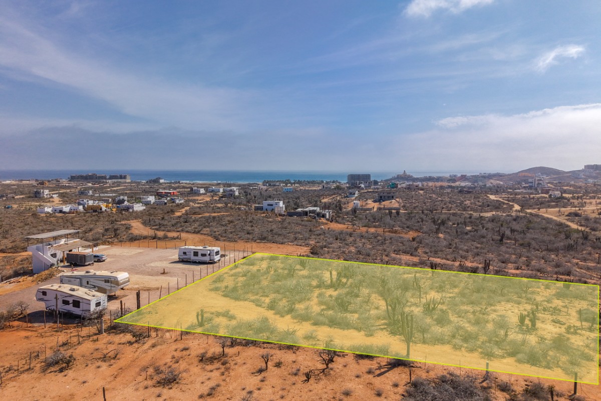 cerritos baja california sur  Los Cabos  Brenda Quiñonez